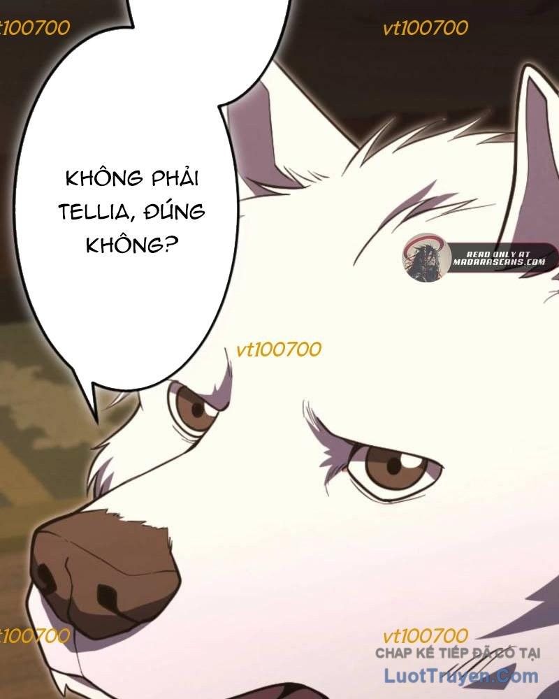 Trang 113